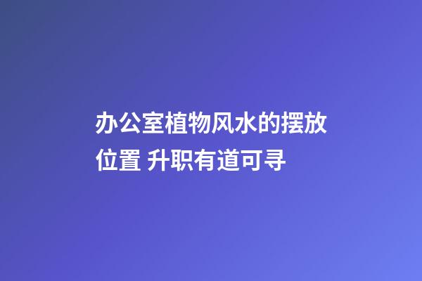 办公室植物风水的摆放位置 升职有道可寻